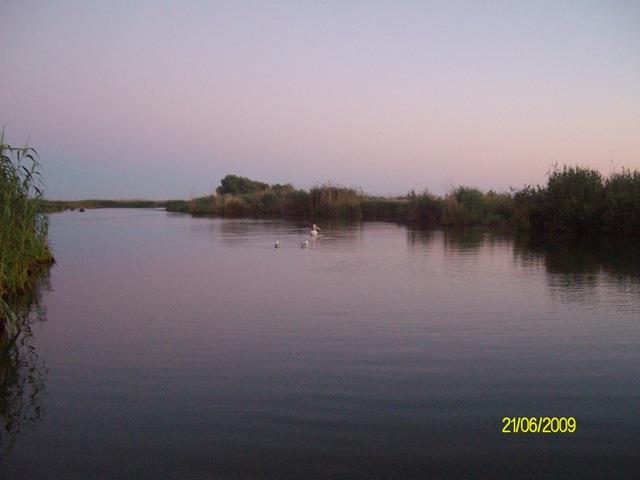 delta rosu 2009 - sany6770.JPG